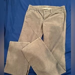 The Loft Grey corduroy bootcut pant